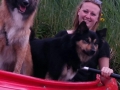 SUP en kano IJslandse Honden mei 2016