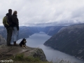 Noorwegen IJslandse Hond (50)
