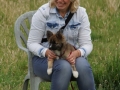 IJslandse Honden Schapendrijven Workshop 1 Juli 2015