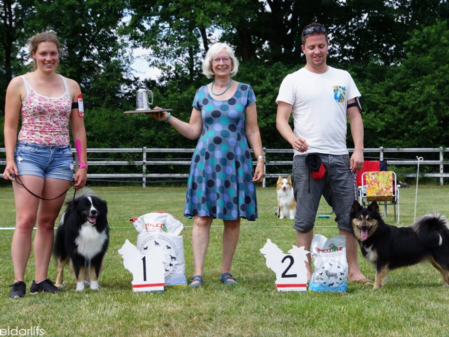 KCM VIJHN 2017 BOB en Beste teef