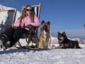 IJslandse Honden Wintersport Oostenrijk 2016 (11)