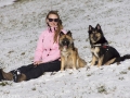 IJslandse Honden Wintersport Oostenrijk 2016 (26)